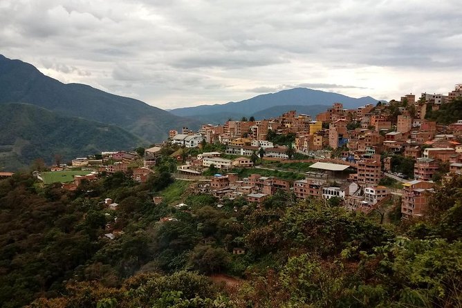 Private Tour to the Yungas Coroico the Death Route From La Paz - Tour Highlights
