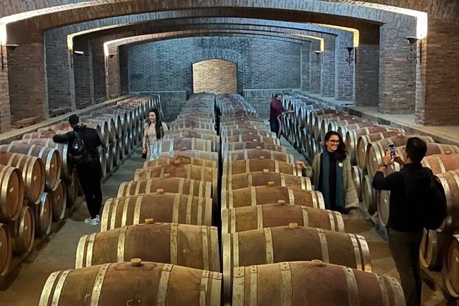 Private Tour to Undurraga Vineyard From Santiago - Tour Highlights