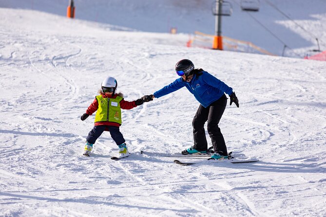 Private Tour to Valle Nevado and Farellones From Santiago