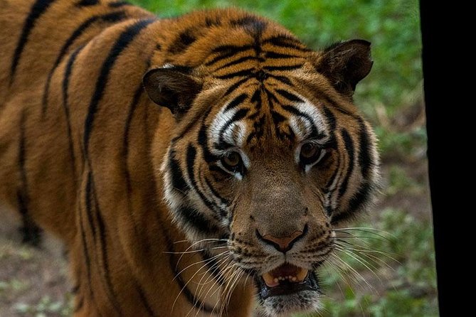 Private Transfer Between Hangzhou Safari Park and City Hotels