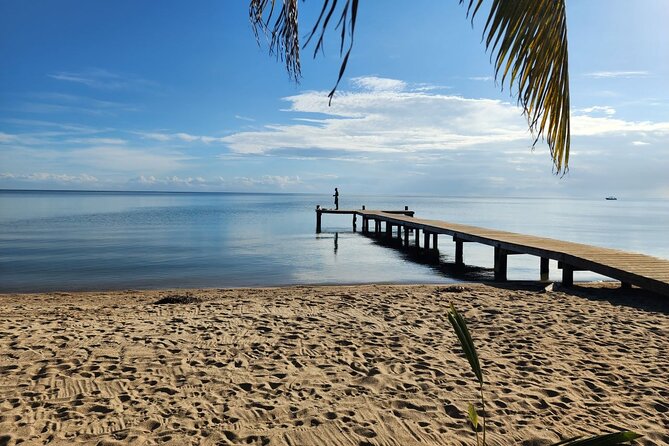2 Best City Tours In Belize