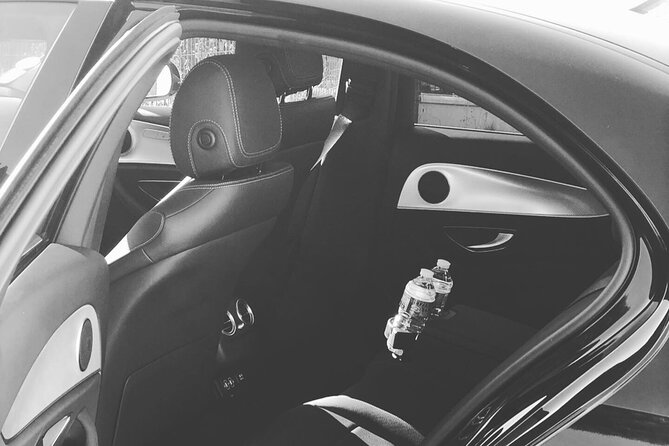 Private Transfer From Disneyland Paris to CDG Airport or City - Service Details