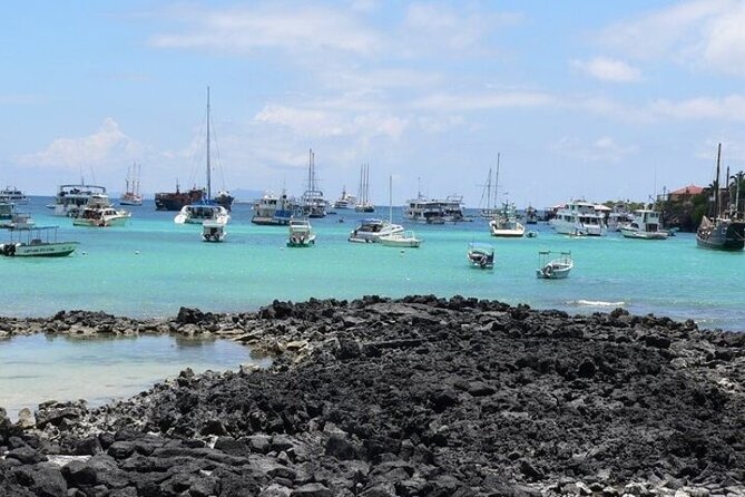 Private Transfer From Hotels in Santa Cruz to Baltra Airport