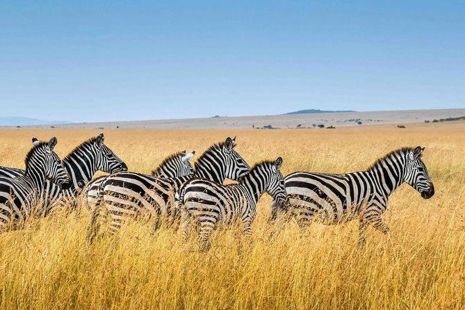 Private Transfer From Kigali to Kigali Airport (Kgl) - Inclusions