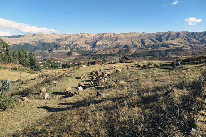 Private Transfer From Puno to Chivay With a 2 Hour Stop