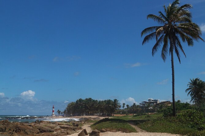 Private Transfer From Salvador Airport - Service Overview