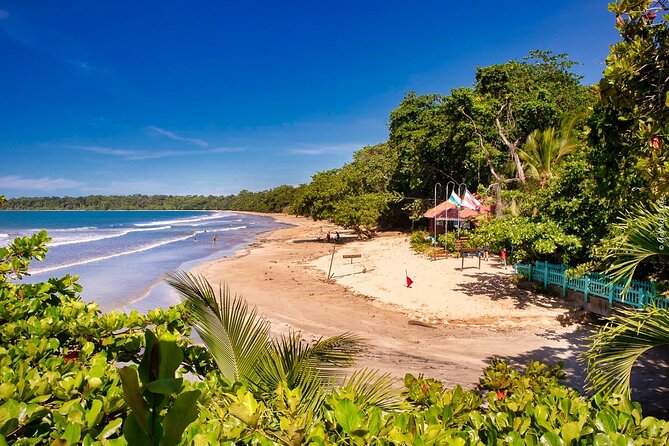 Private Transfer From San Jose Airport To Cahuita - Accessibility