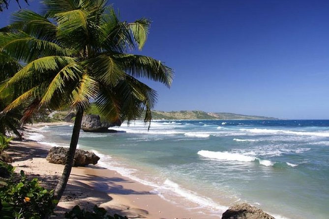Private Transfer From San Jose Airport To Tamarindo