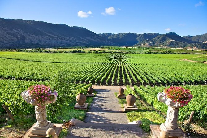Private Transfer From Santiago or Santiago Airport to Colchagua or Santa Cruz