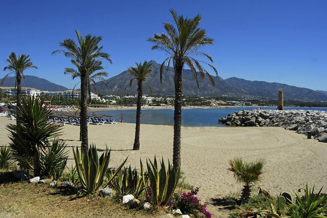Private Transfer From Zahara De Los Atunes to Malaga (Agp) Airport - Service Inclusions