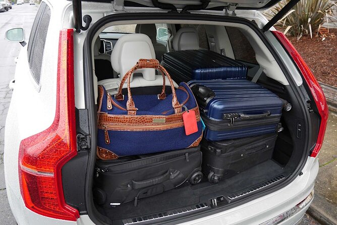 Private Transfer Gothenburg Airport GOT to Gothenburg by Sedan - Service Details