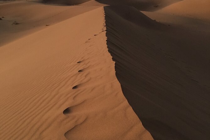 Private Transfer in Marrakech With Chauffeur - Pickup and Drop-off