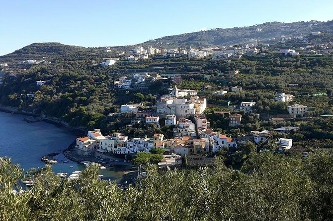 Private Transfer Siena and Province to Sorrento or Viceversa - Vehicle Options