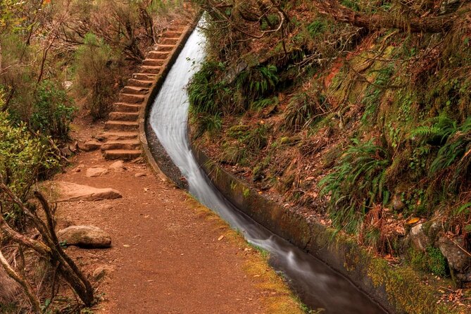 Private Transfer to Levada Do Alecrim - Rosemary Levada (Easy)