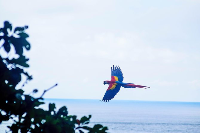 Private Transport Arenal to Jaco