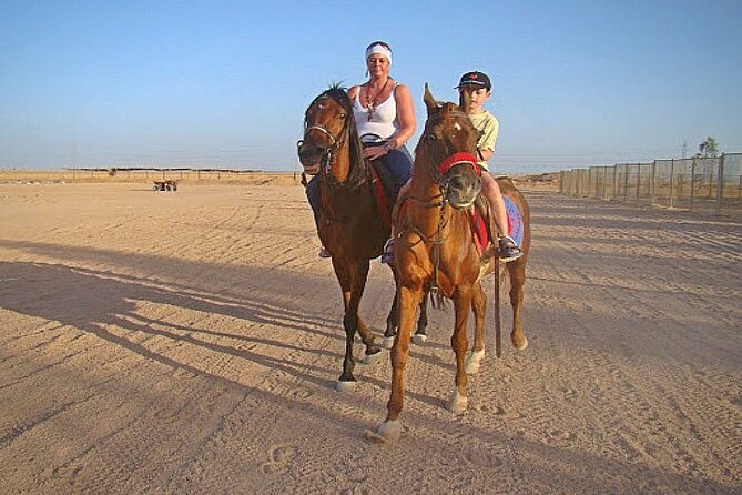 Private Transportation To Adventure Safari By Horse In Sharm El Sheikh - Inclusions and Exclusions