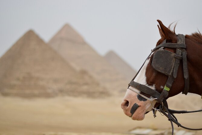 Private Trip to Cairo Pyramids From Hurghada