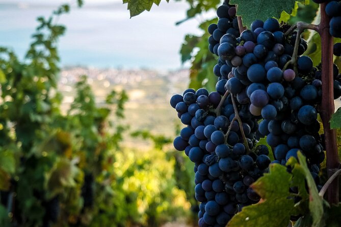 Private Trogir Walking Tour & KašTela Wine Tasting – From Split
