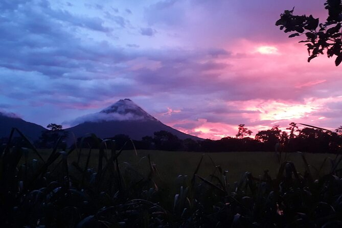 Private Twilight Tortilla Class and Frogs Watching Experience - Experience Highlights