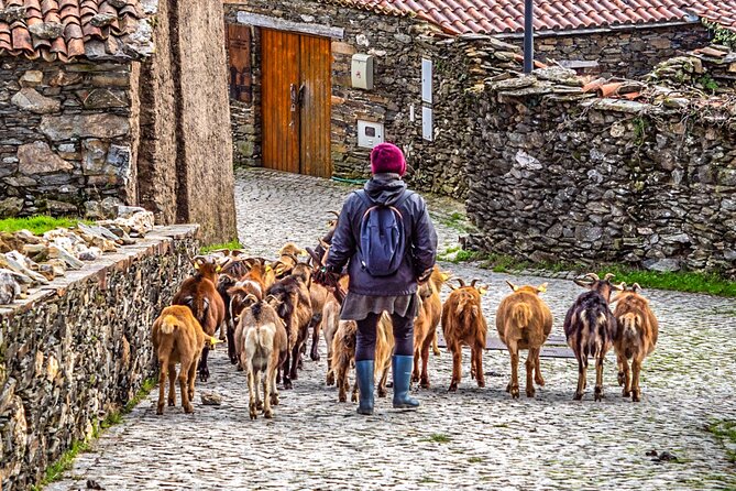 Private Van Tour to Schist Villages of Lousã