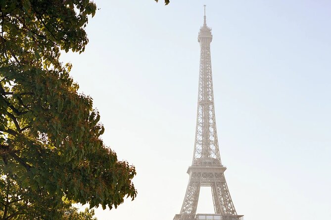 Private Vintage Car Tour With Eiffel Tower and Seine River Cruise - Tour Inclusions