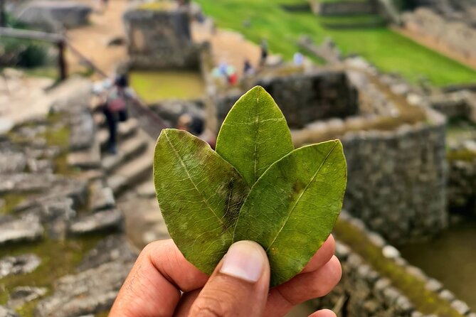 Private Visit to Machu Picchu and Participate in the Coca Rite
