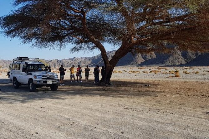 Private Wadi El Gemal Tour From Marsa Alam