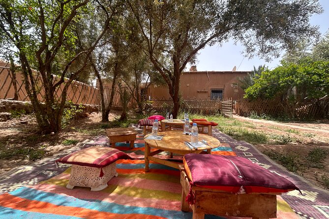 Private Walk in the Skoura Palmeraie