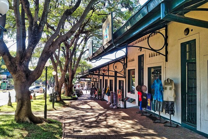 Private Walking Safari in Victoria Falls Town, Private Guide