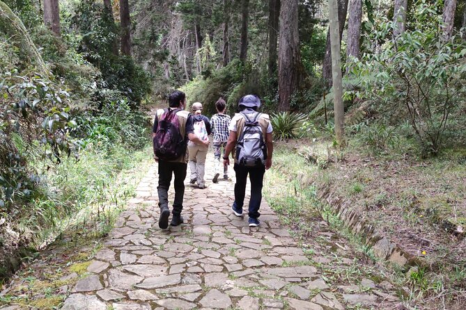Private Walking Tour of the Guarne Lagoon in Medellín - Tour Highlights