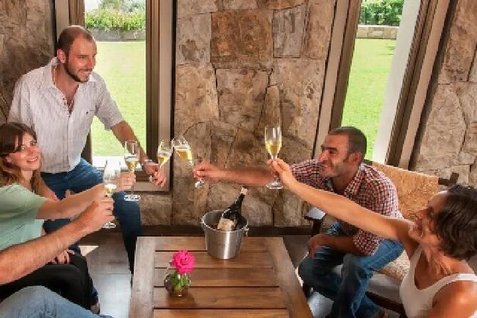 Private Wine Tasting and Vineyards - Experience Overview