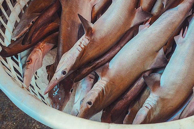 Private Xiamen Sea Food Market & Zhongshan Road Shopping and Eating Experience - Inclusions