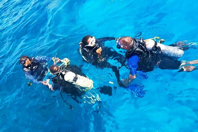 Professional Scuba Diving Tour, Lunch & Transfer From El Gouna - Tour Inclusions