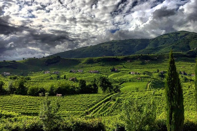 Prosecco Hills Hiking Tour and Wine Tasting