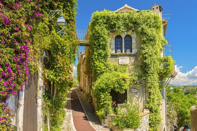 Provencal Market, Wine Tasting & Countryside Private Tour