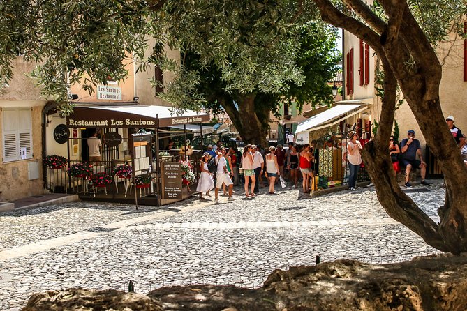 Provence – Lavender Fields Private Extended Full-Day Tour