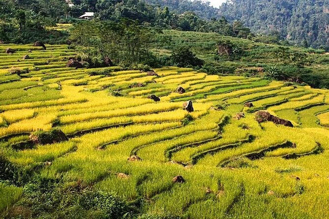 Pu Luong Nature Reserve 1-Day Tour | Pickup From Pu Luong | Top 1 - Tour Overview