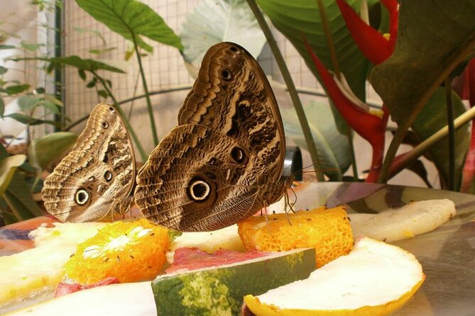 Puerto Iguazú: Iguazú Biocenter Tour