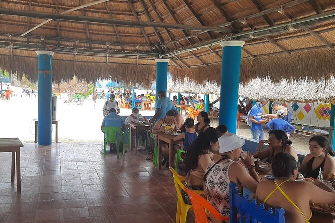 Punta Arena Island Day Tour - Tour Overview