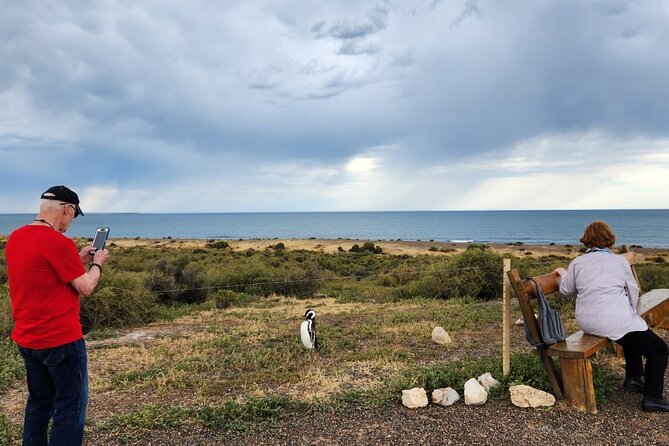 Punta Tombo Shore Tour at Argentina