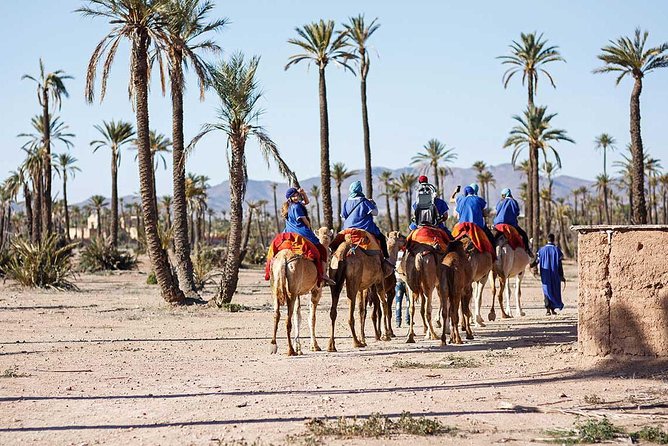 Quad Bike and Camel Ride in Marrakech Palmeraie - Activity Details