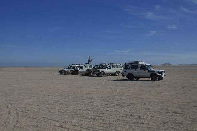 Quad Bike Safari, Bedouin Village - Activity Highlights