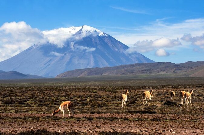 Quad Bike Tour In Arequipa - Overview of the Tour