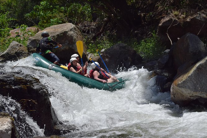 Rafting From Monteverde Rio Tenorio - Transportation and Pickup