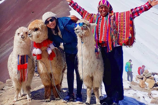 Rainbow Mountain Tour In Cusco - Tour Highlights