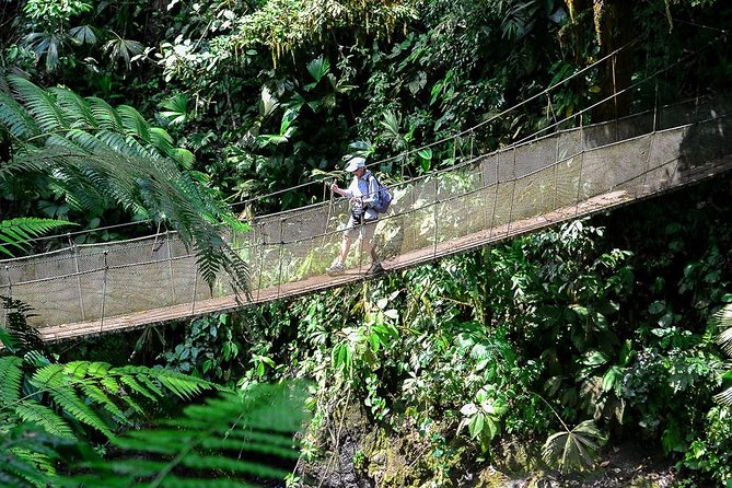 Rainmaker Waterfalls and Hanging Bridges From Manuel Antonio - Tour Highlights