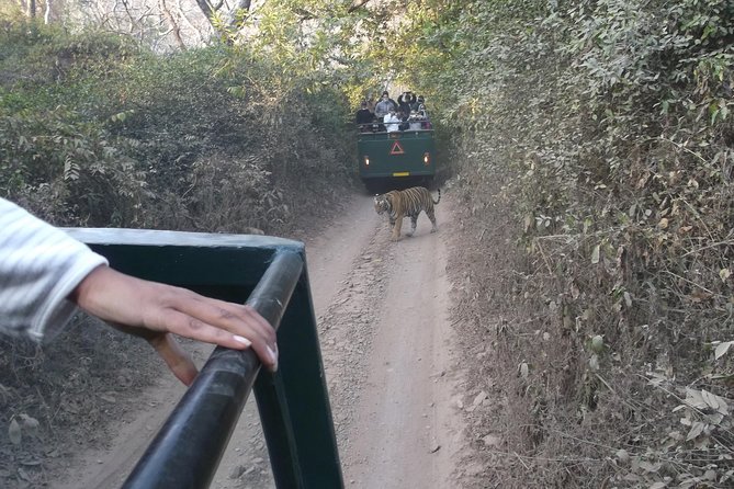 Ranthambhore National Park