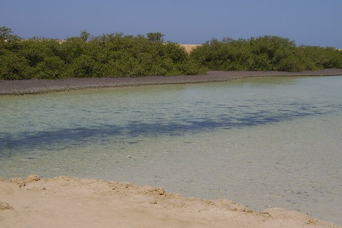 Ras Mohamed Nature Reserve Snorkeling Tour W/ White Island by Yacht - Tour Overview