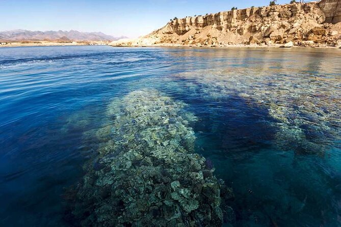 Ras Mohammed and White Island Luxurious Cruise With Lunch - Itinerary and Duration