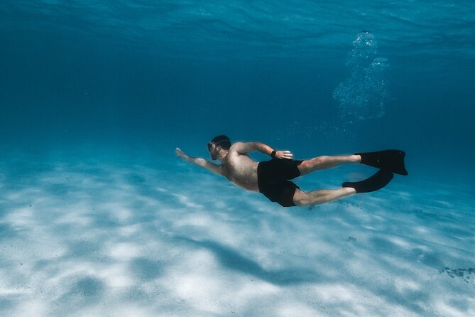 Ras Mohammed Snorkeling Tour by Boat - Tour Highlights